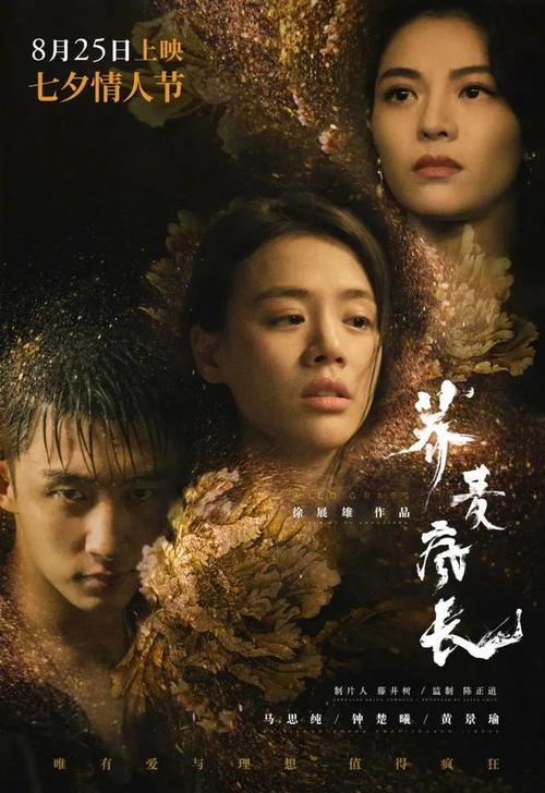 做假路易斯安那州驾驶证